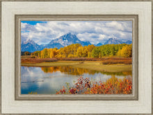 Load image into Gallery viewer, Changing Seasons

