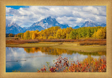 Load image into Gallery viewer, Changing Seasons
