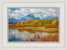 Load image into Gallery viewer, Changing Seasons
