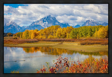Load image into Gallery viewer, Changing Seasons
