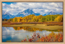Load image into Gallery viewer, Changing Seasons
