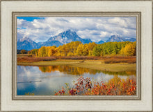 Load image into Gallery viewer, Changing Seasons
