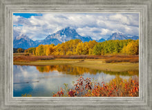 Load image into Gallery viewer, Changing Seasons
