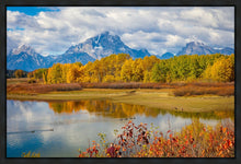 Load image into Gallery viewer, Changing Seasons
