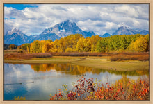 Load image into Gallery viewer, Changing Seasons
