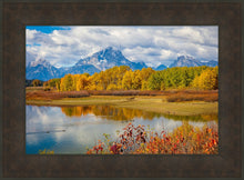 Load image into Gallery viewer, Changing Seasons
