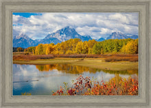 Load image into Gallery viewer, Changing Seasons
