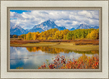 Load image into Gallery viewer, Changing Seasons
