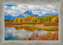 Load image into Gallery viewer, Changing Seasons
