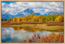 Load image into Gallery viewer, Changing Seasons
