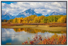 Load image into Gallery viewer, Changing Seasons
