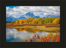 Load image into Gallery viewer, Changing Seasons
