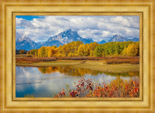 Load image into Gallery viewer, Changing Seasons
