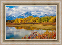 Load image into Gallery viewer, Changing Seasons
