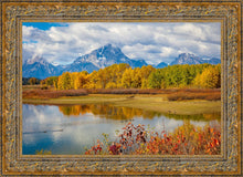 Load image into Gallery viewer, Changing Seasons
