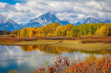 Load image into Gallery viewer, Changing Seasons
