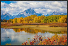 Load image into Gallery viewer, Changing Seasons
