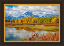 Load image into Gallery viewer, Changing Seasons

