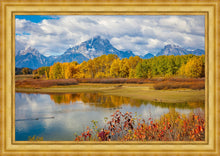 Load image into Gallery viewer, Changing Seasons

