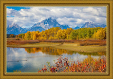 Load image into Gallery viewer, Changing Seasons
