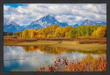 Load image into Gallery viewer, Changing Seasons
