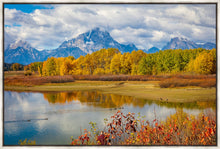 Load image into Gallery viewer, Changing Seasons
