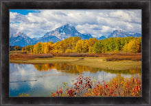 Load image into Gallery viewer, Changing Seasons
