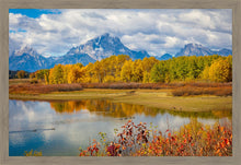 Load image into Gallery viewer, Changing Seasons
