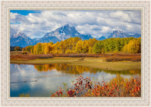 Load image into Gallery viewer, Changing Seasons
