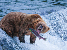 Load image into Gallery viewer, Catch of the Day

