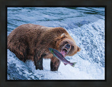 Load image into Gallery viewer, Catch of the Day
