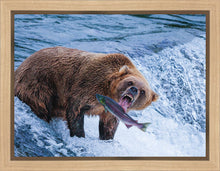 Load image into Gallery viewer, Catch of the Day
