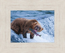 Load image into Gallery viewer, Catch of the Day
