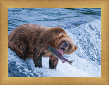 Load image into Gallery viewer, Catch of the Day
