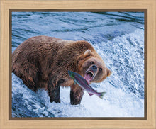 Load image into Gallery viewer, Catch of the Day
