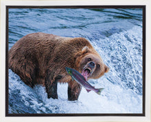 Load image into Gallery viewer, Catch of the Day
