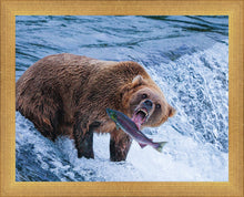 Load image into Gallery viewer, Catch of the Day
