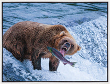 Load image into Gallery viewer, Catch of the Day
