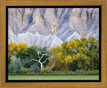 Load image into Gallery viewer, Ghost Tree
