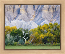 Load image into Gallery viewer, Ghost Tree
