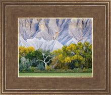 Load image into Gallery viewer, Ghost Tree
