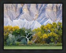Load image into Gallery viewer, Ghost Tree

