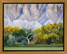 Load image into Gallery viewer, Ghost Tree
