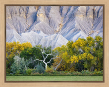 Load image into Gallery viewer, Ghost Tree
