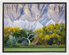 Load image into Gallery viewer, Ghost Tree
