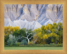 Load image into Gallery viewer, Ghost Tree
