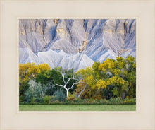 Load image into Gallery viewer, Ghost Tree
