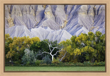 Load image into Gallery viewer, Ghost Tree

