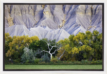 Load image into Gallery viewer, Ghost Tree
