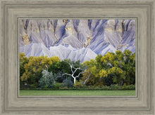 Load image into Gallery viewer, Ghost Tree
